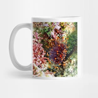 Orange Ball Corallimorph Anemone Mug